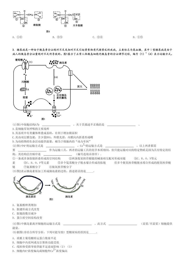 2024～2025学年上海杨浦区上海市杨浦高级中学高一(上)期中生物试卷(11月)[原题+解析]第3页