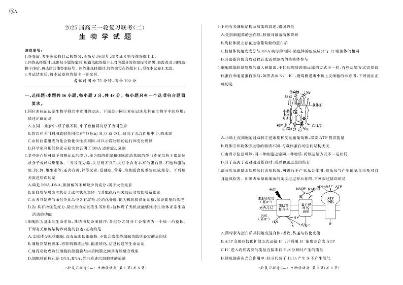 2025届百师联盟云贵川高三上学期11月考-生物+答案第1页