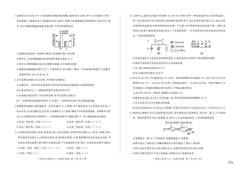 2025届百师联盟云贵川高三上学期11月考-生物+答案第2页