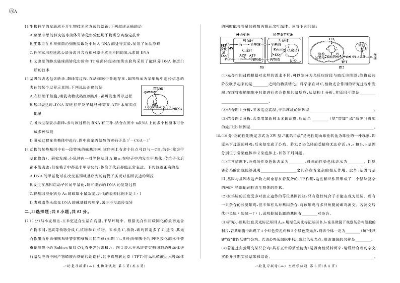 2025届百师联盟云贵川高三上学期11月考-生物+答案第3页