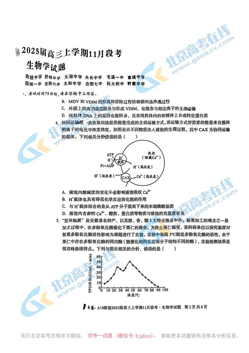 2025届安徽A10联盟高三上学期11月份联考生物试题及答案第2页