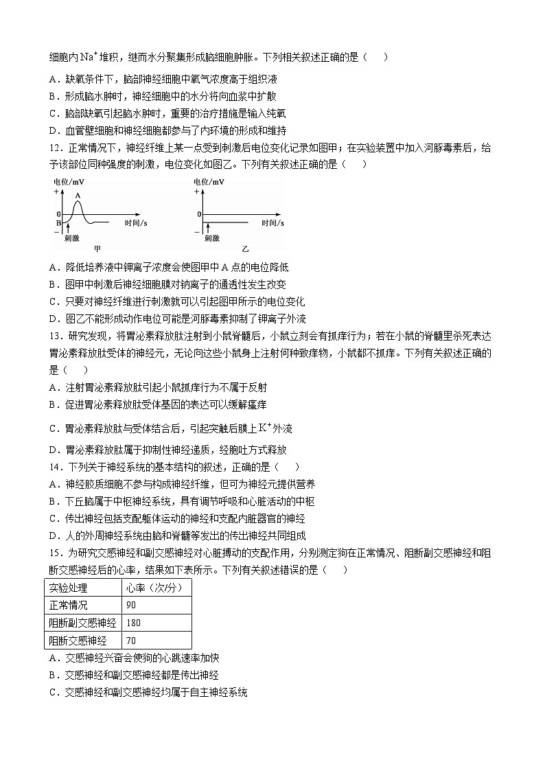 广东省深圳市盟校联盟2024-2025学年高二上学期11月期中考试生物试卷（Word版附解析）03