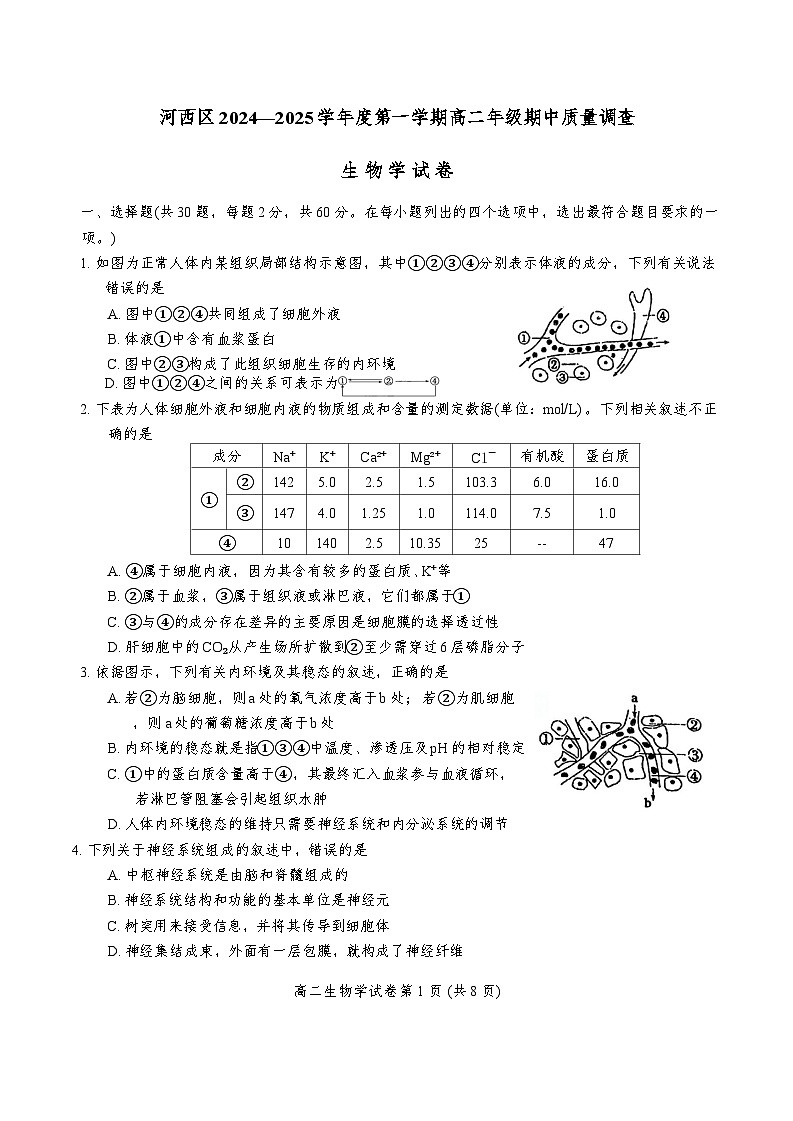 天津市河西区2024-2025学年高二上学期期中考试生物试卷（Word版附答案）第1页
