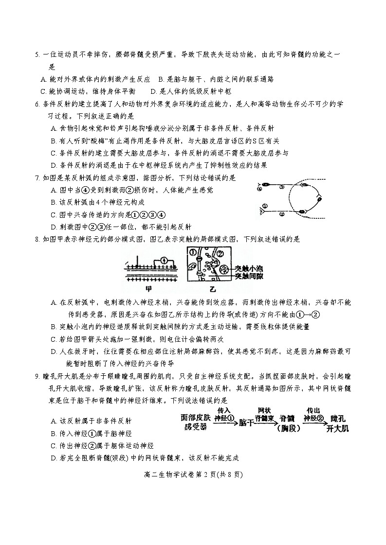 天津市河西区2024-2025学年高二上学期期中考试生物试卷（Word版附答案）第2页
