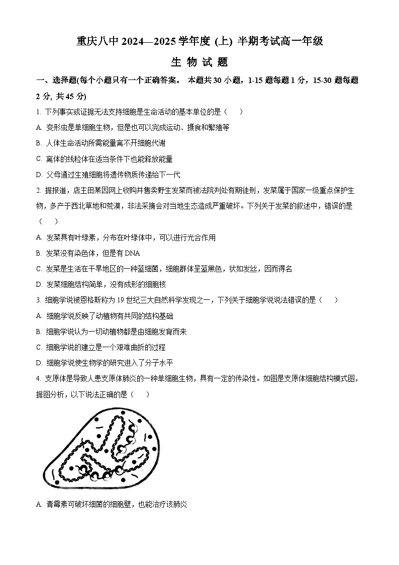 重庆市第八中学2024-2025学年高一上学期期中考试生物试卷（Word版附解析）第1页