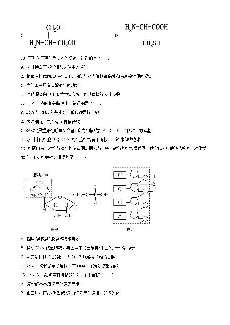 重庆市第八中学2024-2025学年高一上学期期中考试生物试卷（Word版附解析）第3页