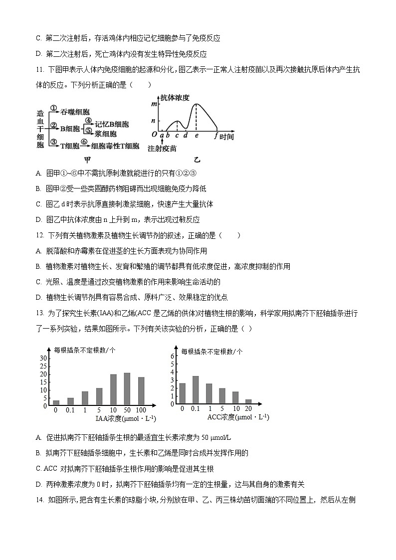 甘肃省兰州第一中学2024-2025学年高二上学期11月期中考试生物试卷（Word版附解析）03