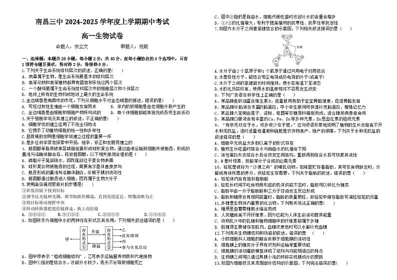 江西省南昌市东湖区南昌市第三中学2024-2025学年高一上学期11月期中生物试题01