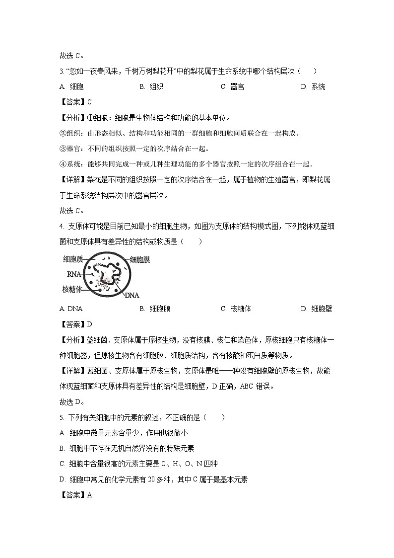 湖北省武汉市问津教育联合体2024-2025学年高一上学期10月联考生物试卷（解析版）第2页