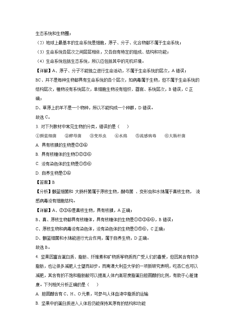 河南省周口市鹿邑县2024-2025学年高一上学期10月月考生物试卷（解析版）02