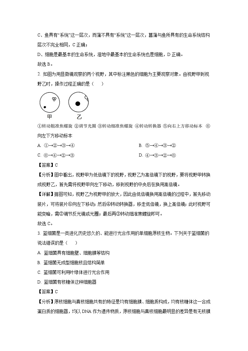 甘肃省张掖市部分学校2024-2025学年高一上学期11月期中考试生物试卷（解析版）第2页