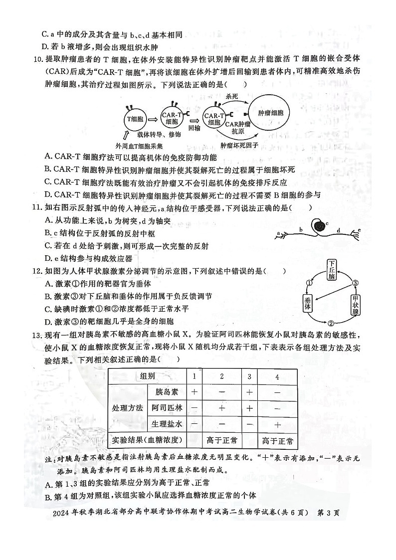 高二期中考试生物试卷第3页