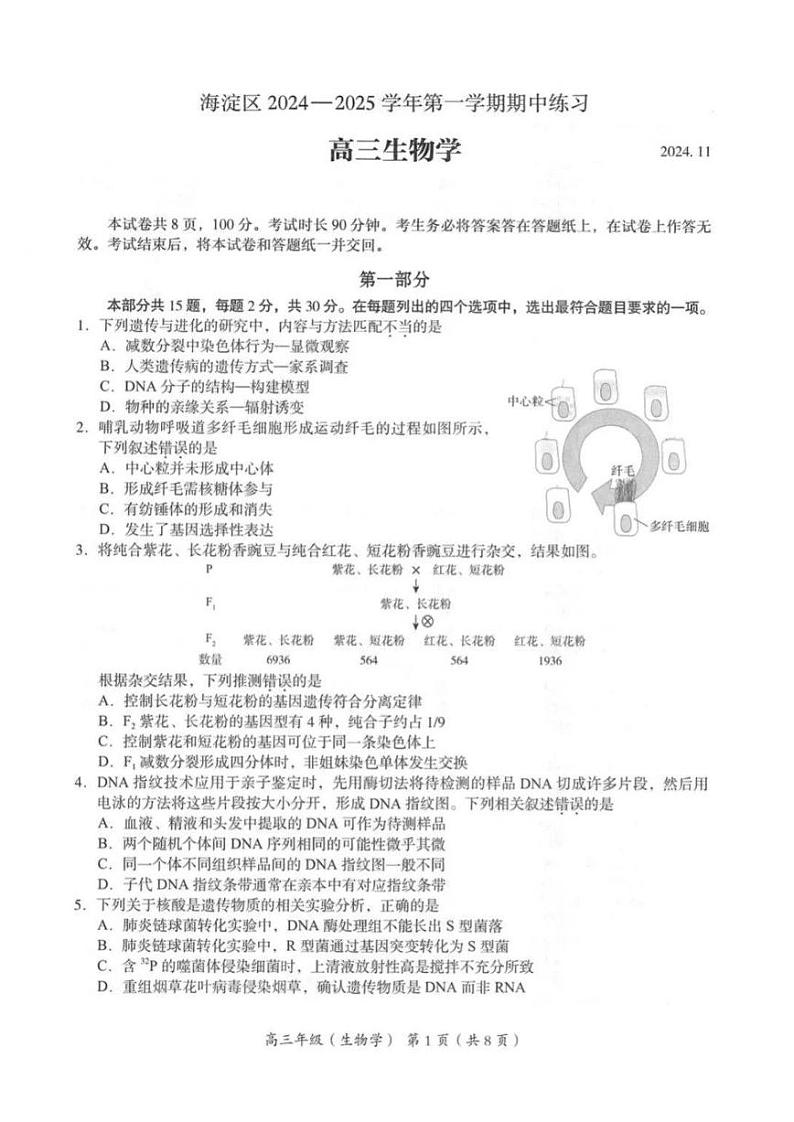 2025届北京市海淀区高三上学期11月期中练习-生物试卷+答案第1页