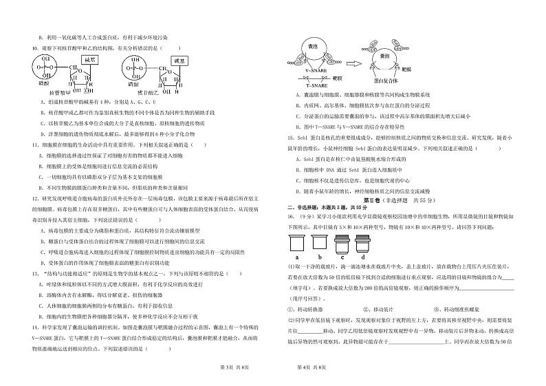 高一生物试卷第2页