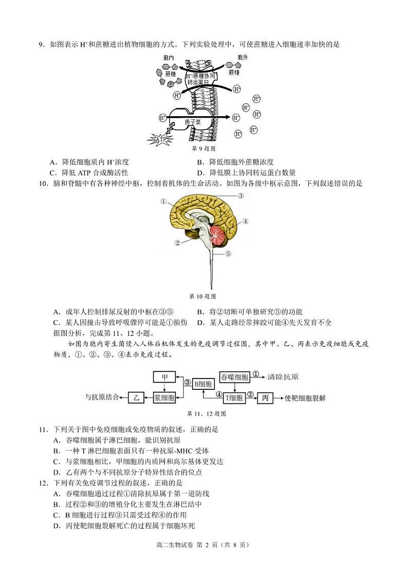 浙江省9+1高中联盟2024-2025学年高二上学期期中考试生物试卷02