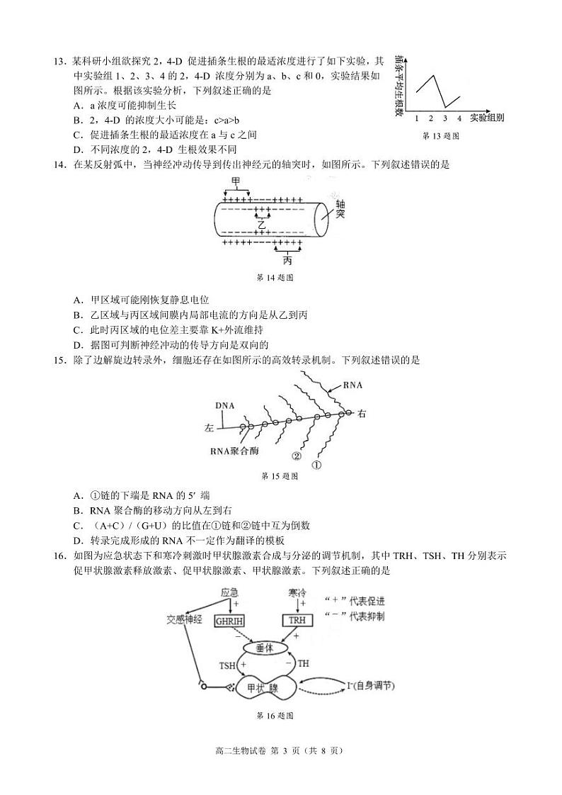 浙江省9+1高中联盟2024-2025学年高二上学期期中考试生物试卷03