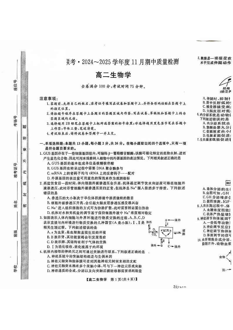 2024-2025学年河北郑口中学联考高二期中测试生物试卷第1页