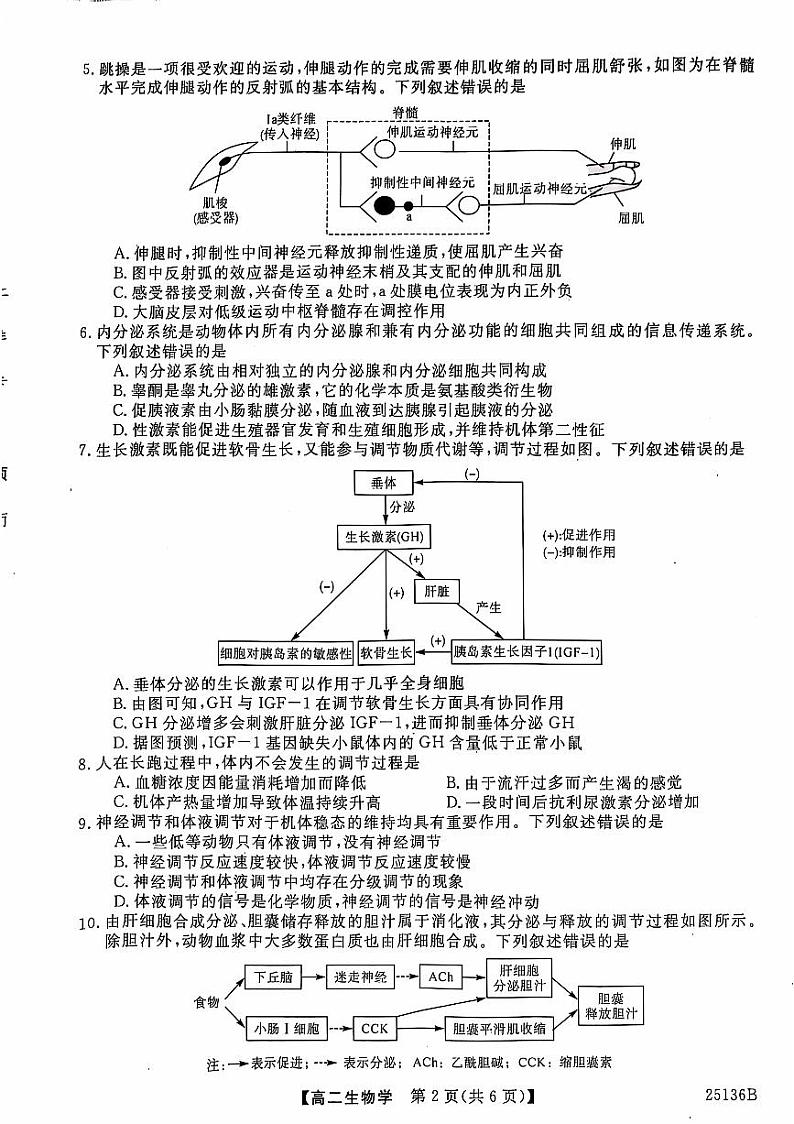 2024-2025学年河北郑口中学联考高二期中测试生物试卷第2页
