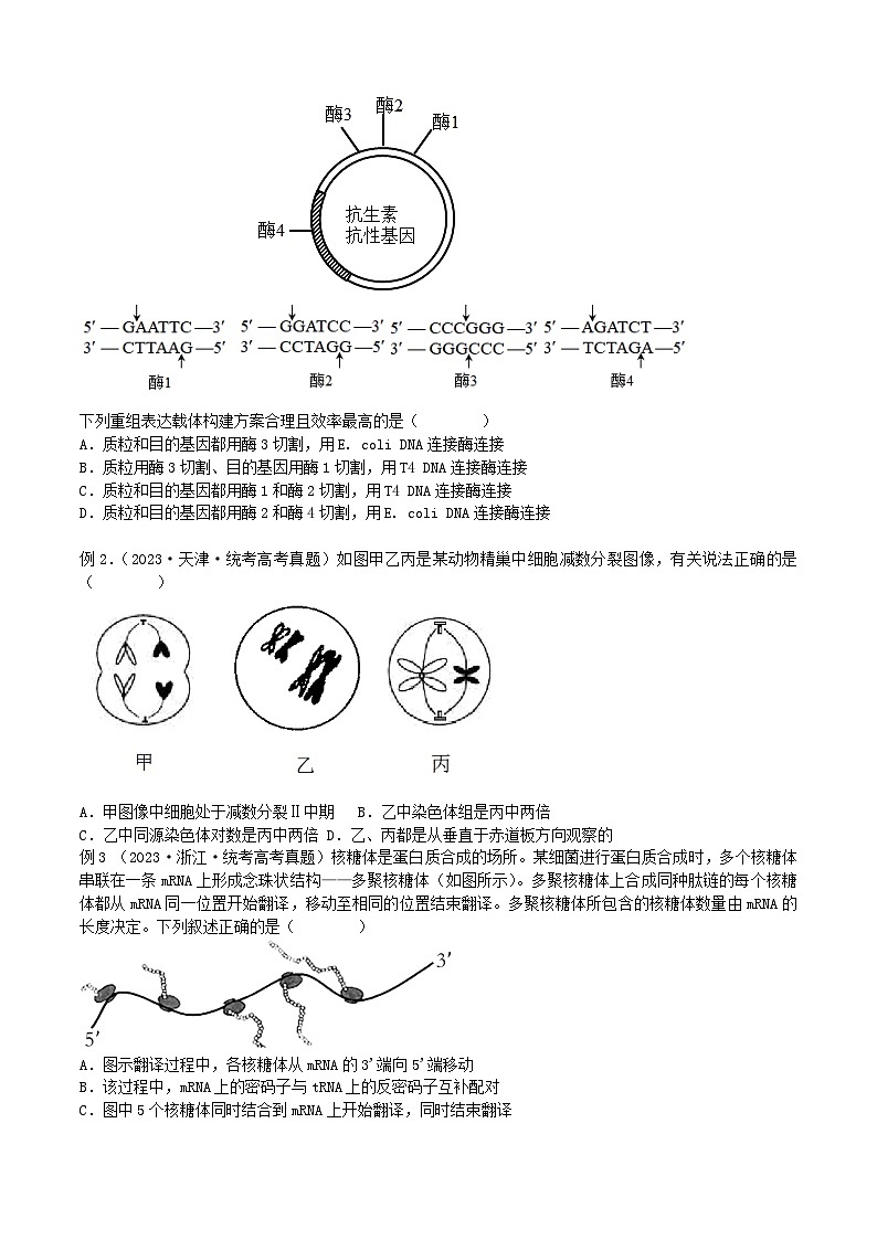【高考生物】答题技巧与模板构建：题型04 图解图像类（选择题2大类型解题技巧）（原卷版）第2页