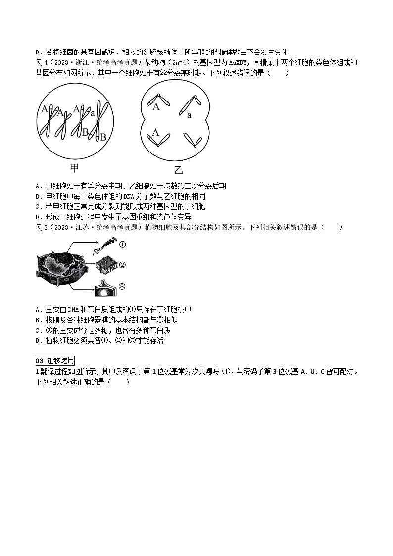 【高考生物】答题技巧与模板构建：题型04 图解图像类（选择题2大类型解题技巧）（原卷版）第3页