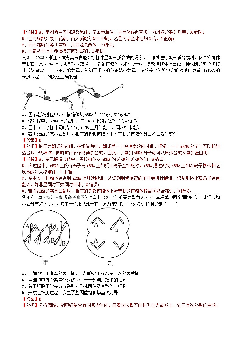 【高考生物】答题技巧与模板构建：题型04 图解图像类（选择题2大类型解题技巧）（解析版）第3页