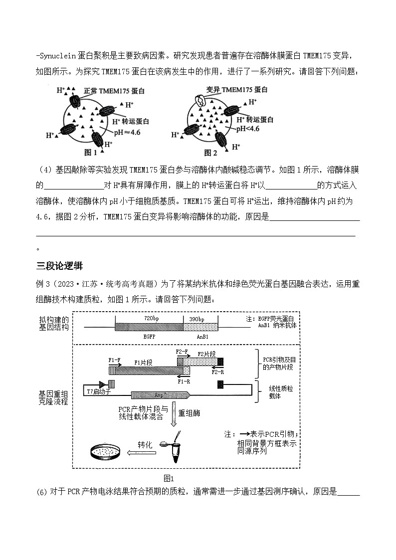 【高考生物】答题技巧与模板构建：题型10 长句作答（3大考向模型解题）（原卷版）第3页
