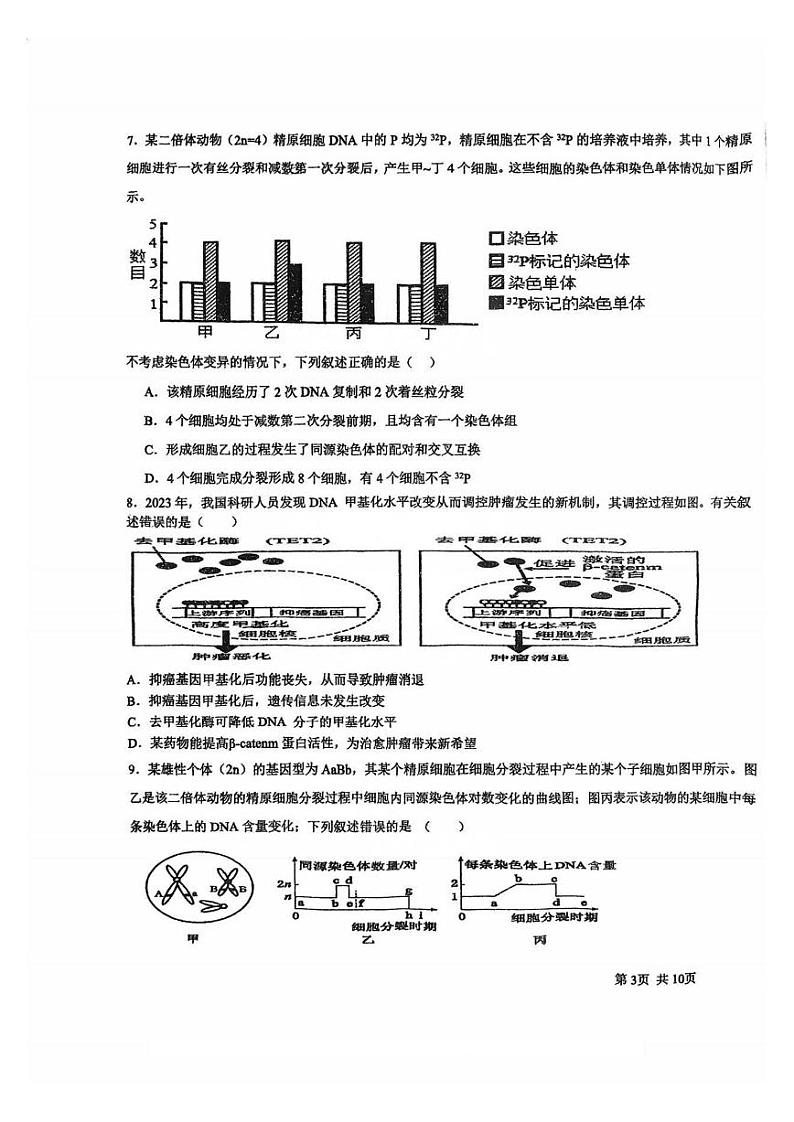 天津市滨海新区塘沽紫云中学2024-2025学年高三上学期期中考试生物试卷第3页