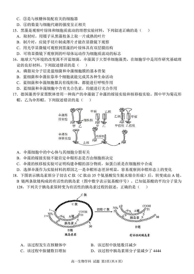 浙江省钱塘联盟联考2024-2025学年高一上学期11月期中生物试题第3页