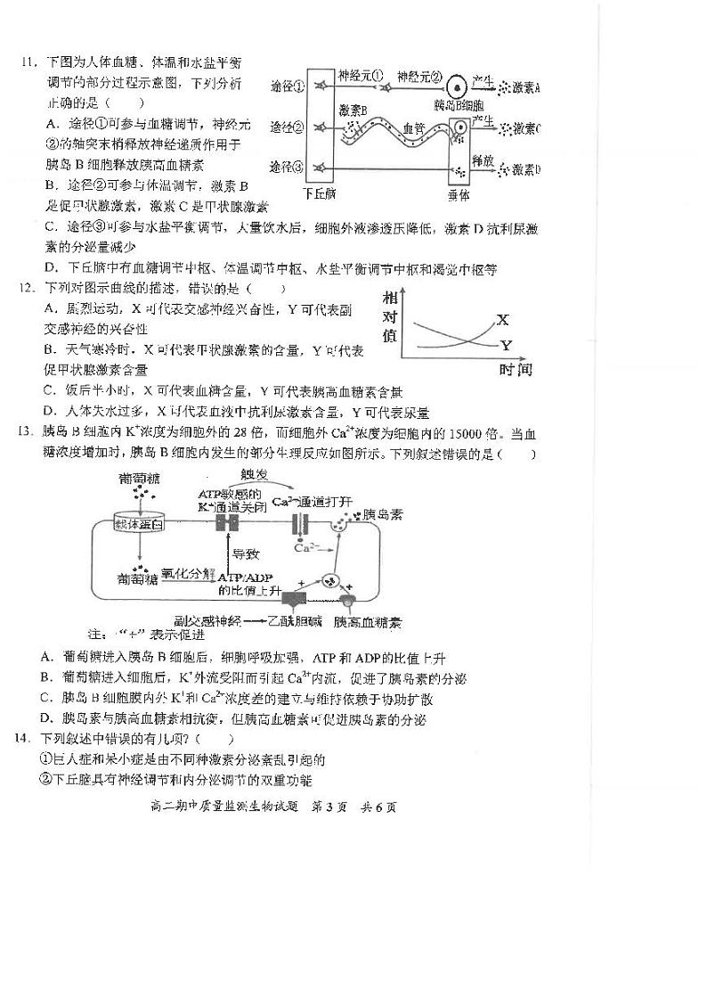 福建省泉州市安溪县2024-2025学年高二上学期11月期中质量监测生物试题02
