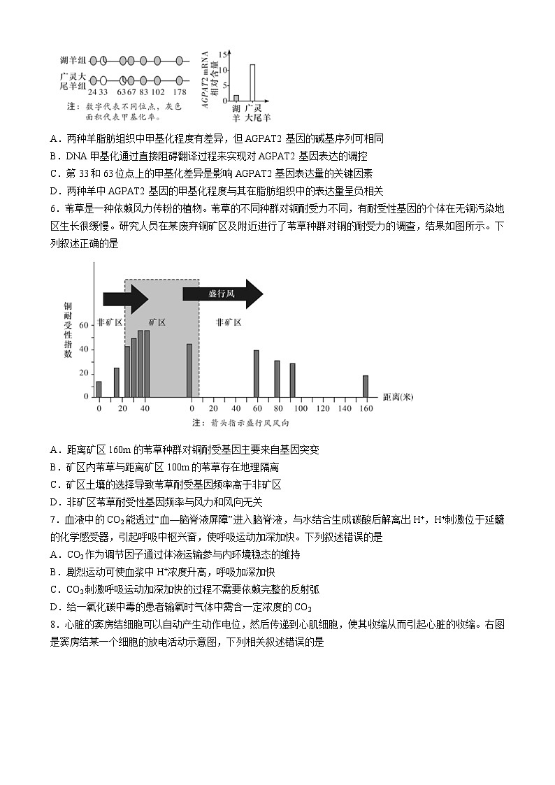 2025长沙师大附中高三上学期第三次月考生物试题含答案第2页