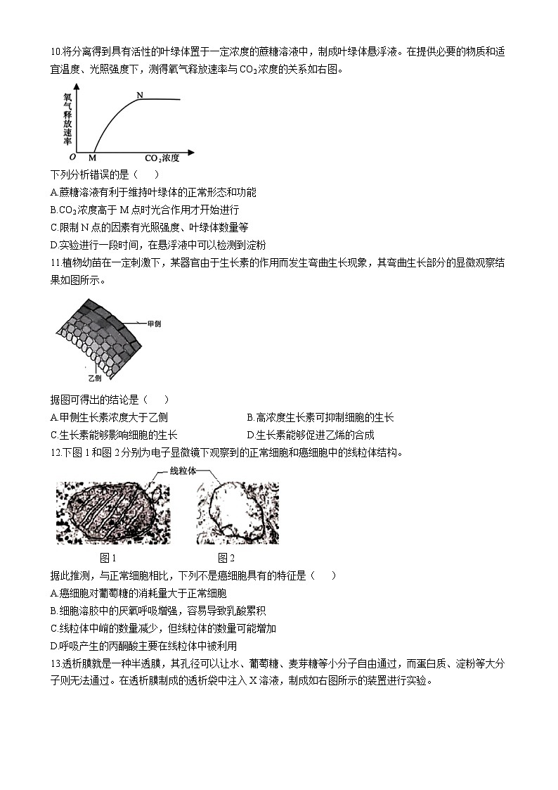 2025杭州地区（含周边）重点中学高二上学期期中联考生物试卷含答案第3页