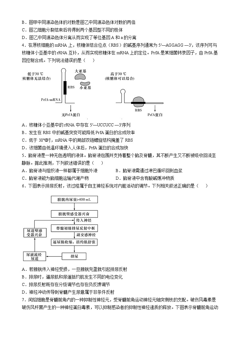 2025长沙师大附中高二上学期11月期中考试生物试卷含解析02