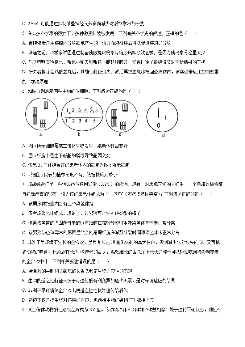 2025海南省海南中学高二上学期11月期中考试生物含解析第2页