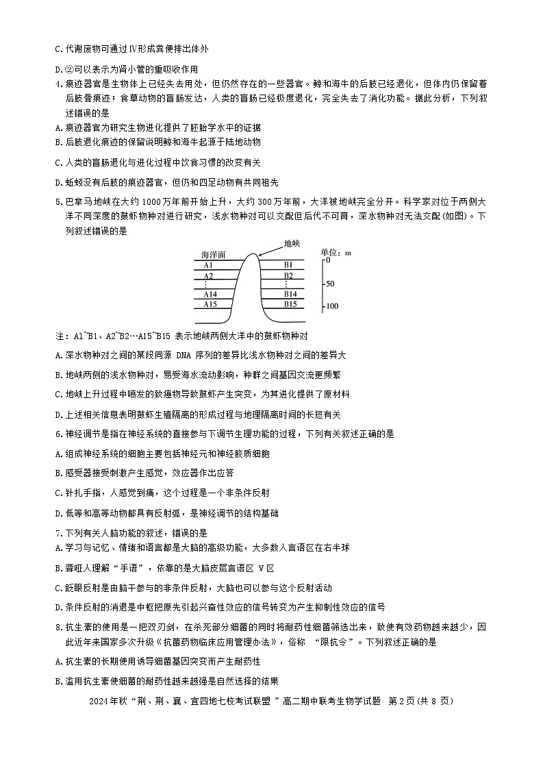 湖北省“荆、荆、襄、宜四地七校考试联盟”2024-2025学年高二上学期期中联考生物试卷第2页
