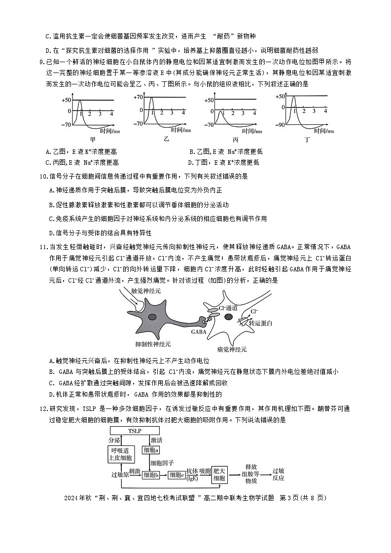 湖北省“荆、荆、襄、宜四地七校考试联盟”2024-2025学年高二上学期期中联考生物试卷第3页