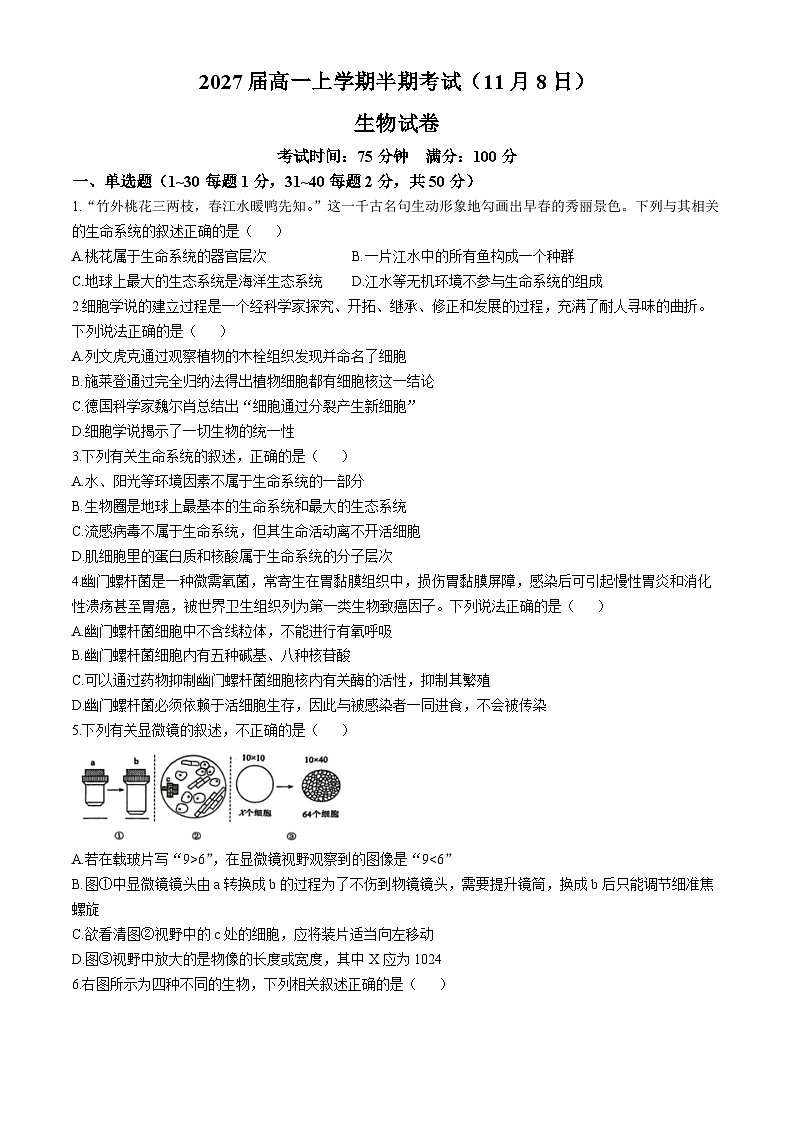 2025成都七中高一上学期11月期中考试生物含解析第1页