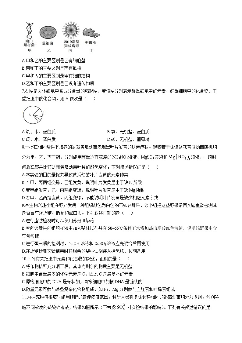 2025成都七中高一上学期11月期中考试生物含解析第2页