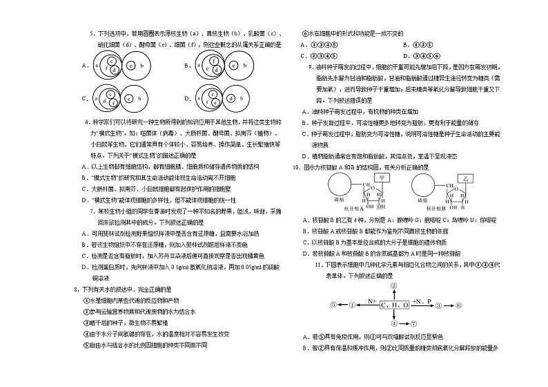 2025长春外国语学校高一上学期10月期中考试生物含答案第2页