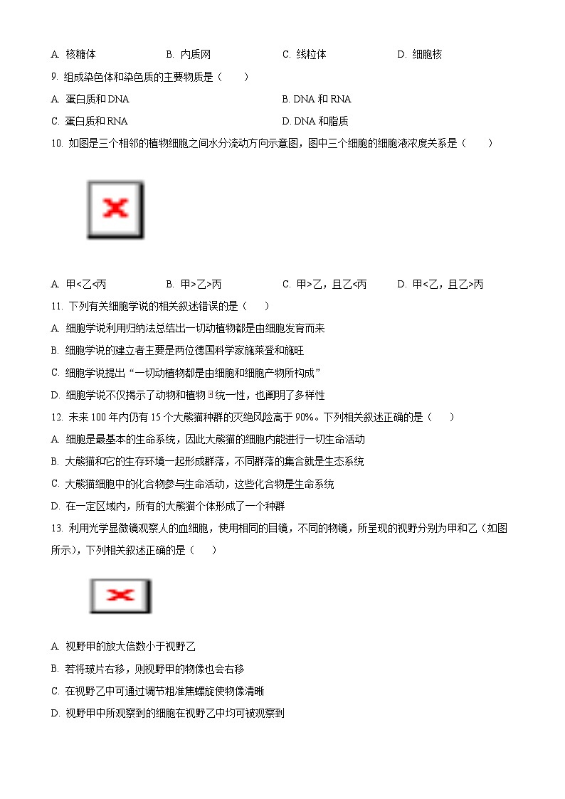 北京市丰台区2024-2025学年高一上学期期中考试生物试题无答案第2页