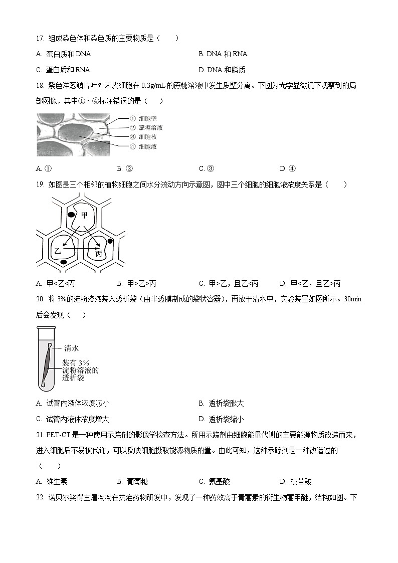北京市第八十中学2024-2025学年高一上学期期中考试生物试题无答案第3页