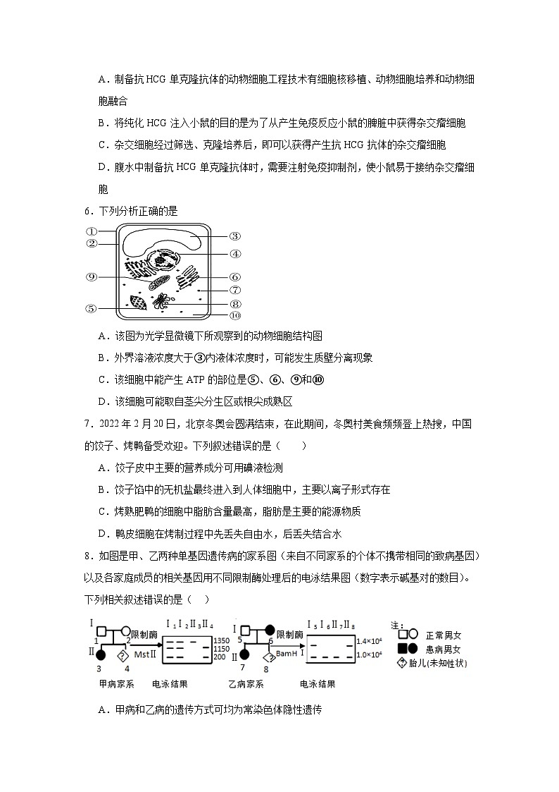 2025届河南省郑州市郑东新区高三一模生物试题第3页