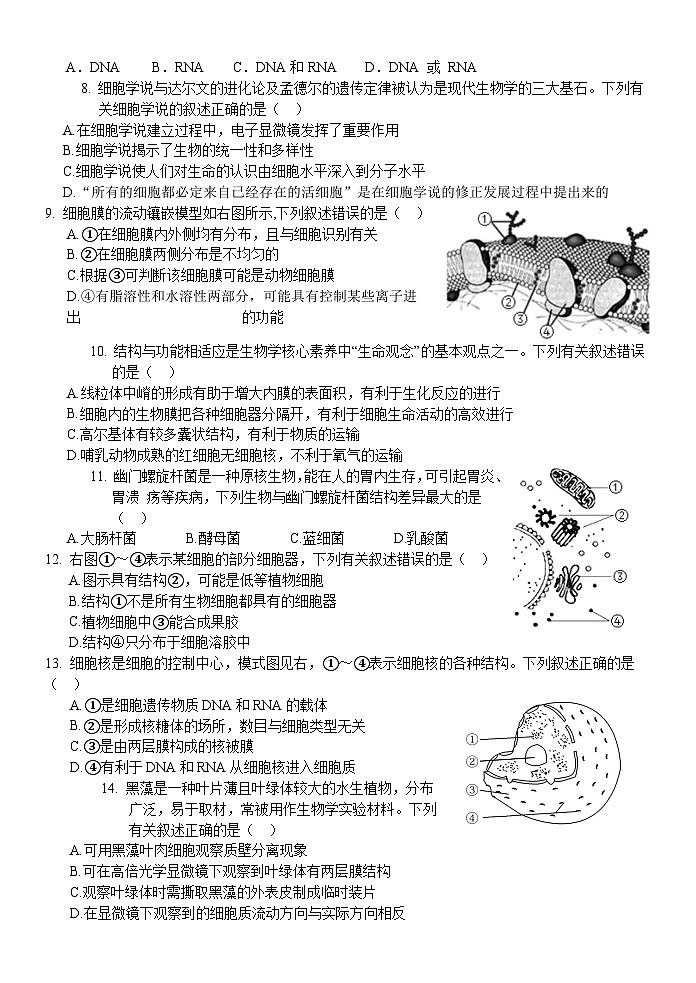 浙江省丽水市五校高中发展共同体2024-2025学年高一上学期11月期中联考生物试题第2页