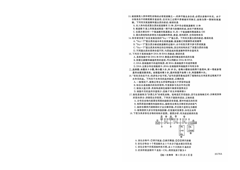 辽宁省朝阳市建平县实验中学2024-2025学年高一上学期11月期中考试生物试题第3页