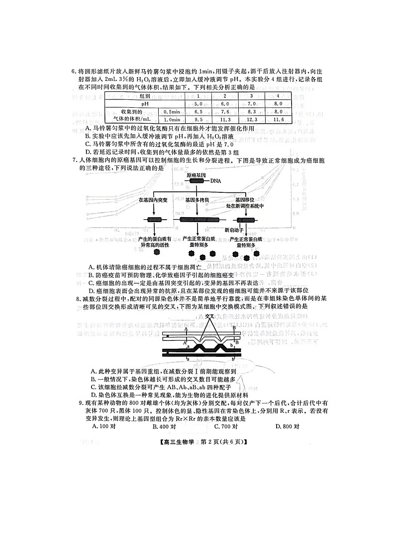 陕西省十七校联考2024-2025学年高三上学期11月期中生物试题第2页