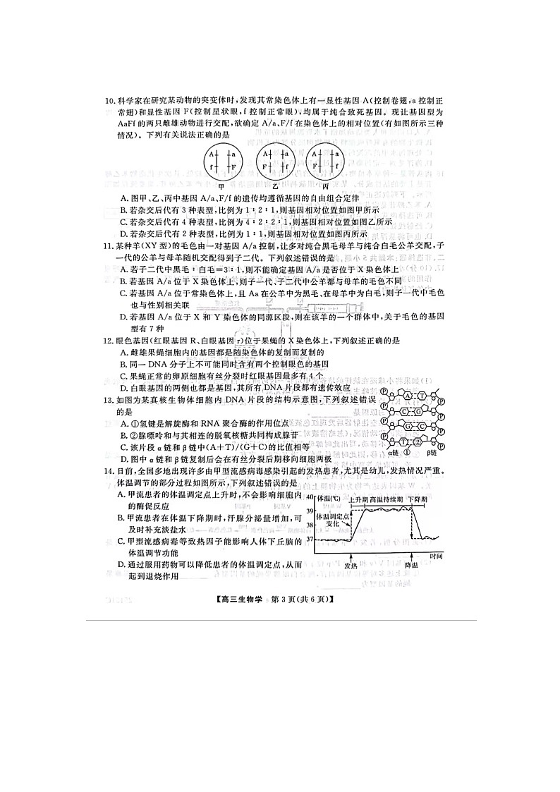 陕西省十七校联考2024-2025学年高三上学期11月期中生物试题第3页