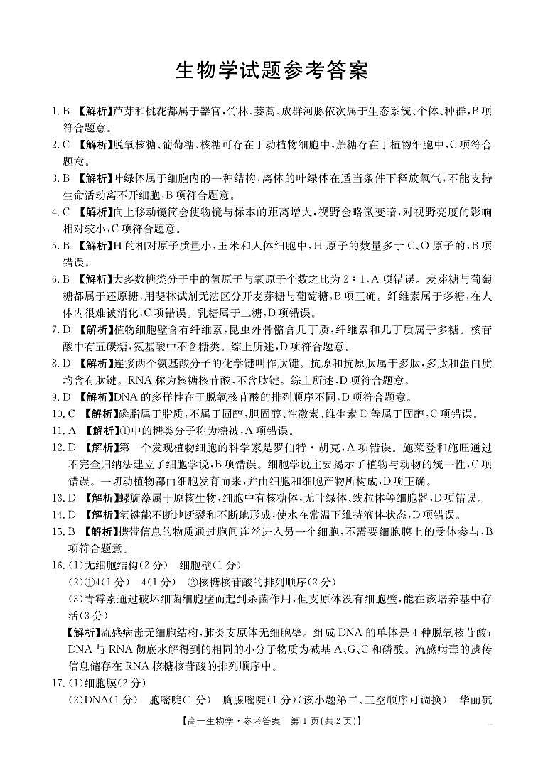 河北省定州市名校2024-2025学年高一上学期期中联考生物试题01