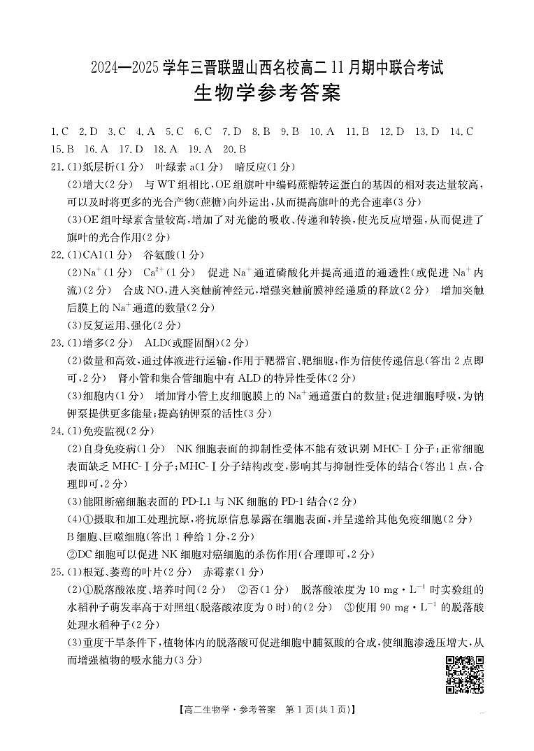 山西省三晋联盟山西名校2024-2025学年高二上学期11月期中联合考试生物试题01