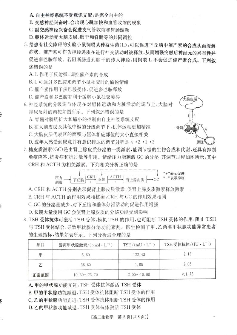 山西省三晋联盟山西名校2024-2025学年高二上学期11月期中联合考试生物试题02