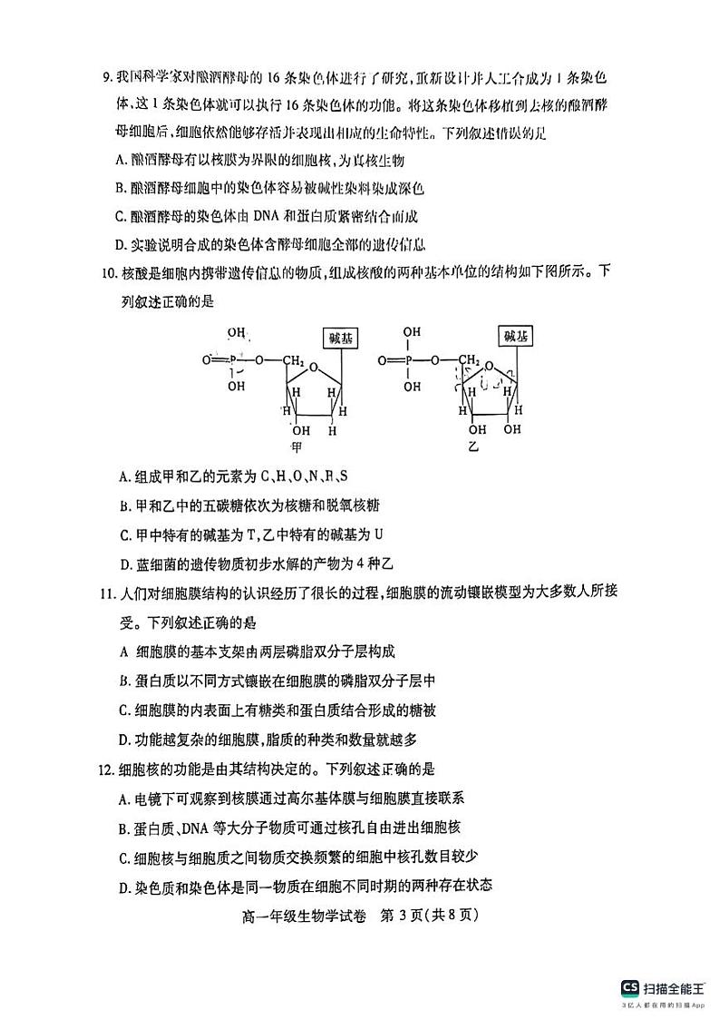 湖北省武汉市部分学校2024-2025学年高一上学期11月期中调研考试生物试题第3页