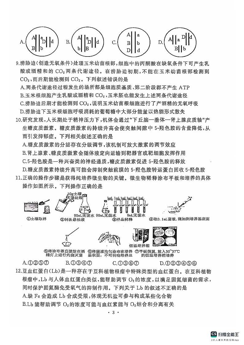 湖北省武汉市江岸区2024-2025学年高三上学期11月调考生物试卷第3页